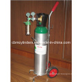 Bag-Type Aluminum Oxygen Supply System (2.5L Set)